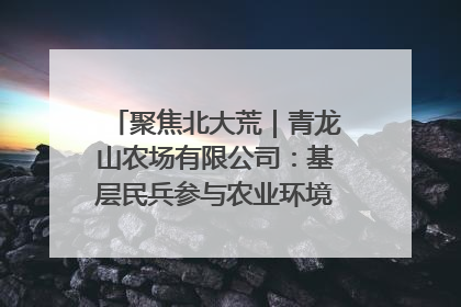 聚焦北大荒｜青龙山农场有限公司：基层民兵参与农业环境综合治理显效
