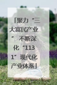 聚力“三大富民产业” 不断深化“1131”现代化产业体系