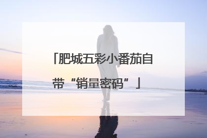 肥城五彩小番茄自带“销量密码”