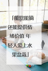能赏能摘还能提供情绪价值 年轻人爱上水果盆栽