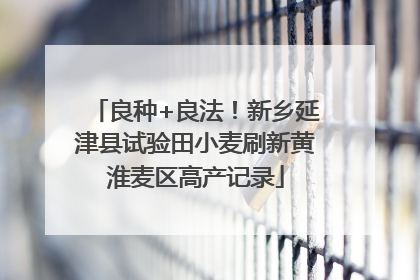 良种+良法！新乡延津县试验田小麦刷新黄淮麦区高产记录