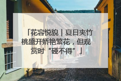 花容悦貌｜夏日夹竹桃盛开娇艳繁花，但观赏时“碰不得”