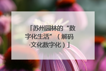 苏州园林的“数字化生活”（解码·文化数字化）