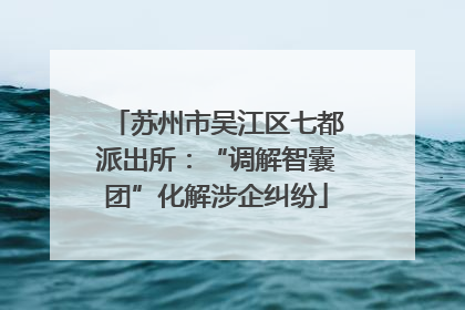 苏州市吴江区七都派出所：“调解智囊团”化解涉企纠纷