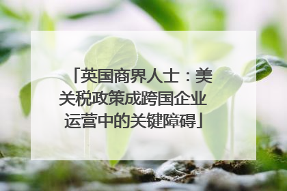 英国商界人士：美关税政策成跨国企业运营中的关键障碍