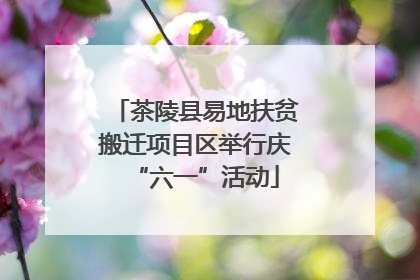 茶陵县易地扶贫搬迁项目区举行庆“六一”活动