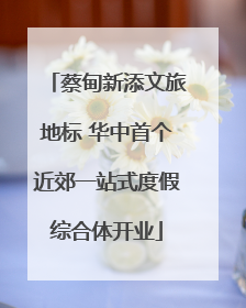 蔡甸新添文旅地标 华中首个近郊一站式度假综合体开业