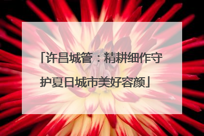 许昌城管：精耕细作守护夏日城市美好容颜