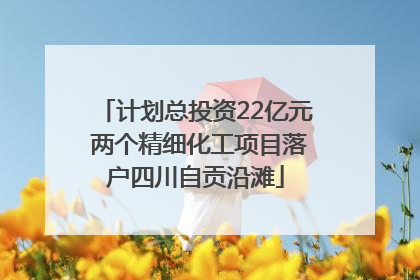 计划总投资22亿元 两个精细化工项目落户四川自贡沿滩