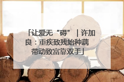 让爱无“碍”｜许加良：重疾致残始种藕 带动致富靠双手