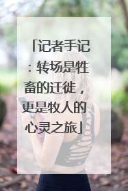 记者手记：转场是牲畜的迁徙，更是牧人的心灵之旅