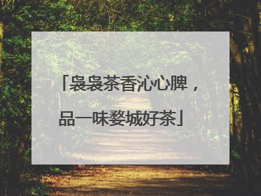 袅袅茶香沁心脾，品一味婺城好茶