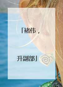 褚伟，升副部