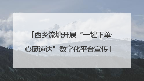 西乡流塘开展“一键下单·心愿速达”数字化平台宣传