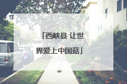西峡县 让世界爱上中国菇