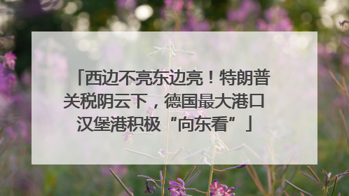 西边不亮东边亮！特朗普关税阴云下，德国最大港口汉堡港积极“向东看”