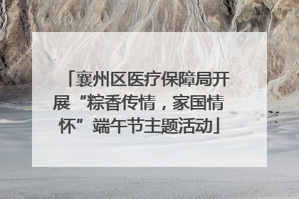 襄州区医疗保障局开展“粽香传情，家国情怀”端午节主题活动
