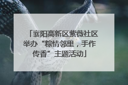 襄阳高新区紫薇社区举办“粽情邻里，手作传香”主题活动