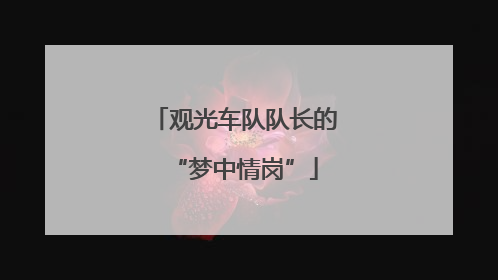 观光车队队长的“梦中情岗”