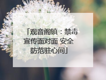 观音阁镇：禁毒宣传面对面 安全防范驻心间