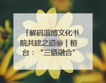 解码淄博文化书院共建之道⑩｜桓台：“三链融合”撬动基层文化共治新动能