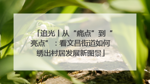 追光丨从“痛点”到“亮点”:看文昌街道如何绣出村居发展新图景
