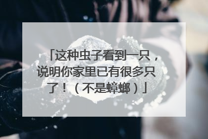 这种虫子看到一只，说明你家里已有很多只了！（不是蟑螂）