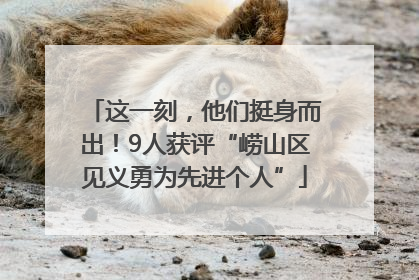 这一刻，他们挺身而出！9人获评“崂山区见义勇为先进个人”