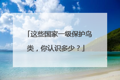 这些国家一级保护鸟类，你认识多少？