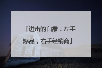 进击的白象：左手爆品，右手经销商