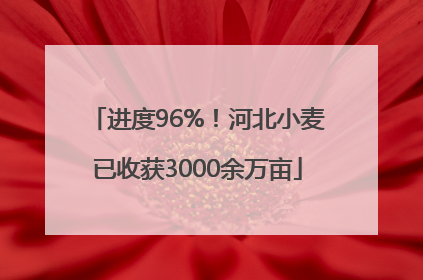 进度96%！河北小麦已收获3000余万亩