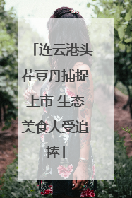 连云港头茬豆丹捕捉上市 生态美食大受追捧
