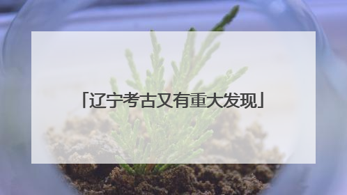 辽宁考古又有重大发现