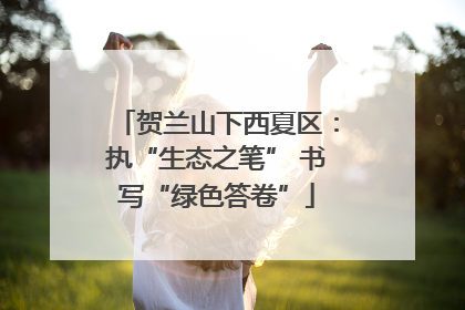 贺兰山下西夏区：执“生态之笔” 书写“绿色答卷”