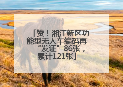 赞！湘江新区功能型无人车编码再“发证”86张，累计121张