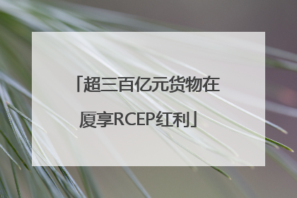 超三百亿元货物在厦享RCEP红利