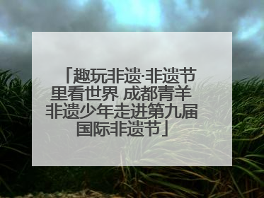 趣玩非遗·非遗节里看世界 成都青羊非遗少年走进第九届国际非遗节