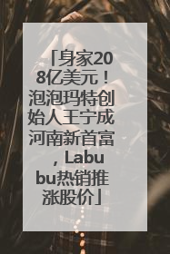 身家208亿美元！泡泡玛特创始人王宁成河南新首富，Labubu热销推涨股价