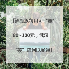 通勤族每月可“赚”80~100元，武汉“碳”路何以畅通