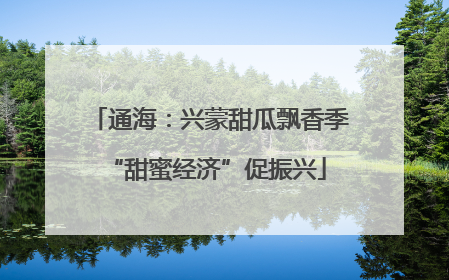 通海：兴蒙甜瓜飘香季 “甜蜜经济”促振兴