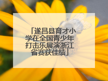 遂昌县育才小学在全国青少年打击乐展演浙江省赛获佳绩
