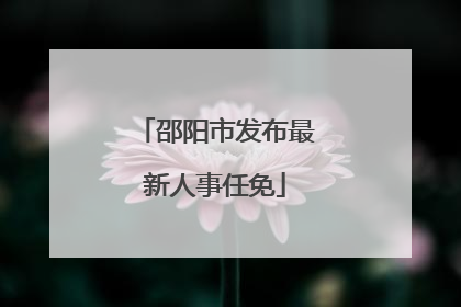 邵阳市发布最新人事任免