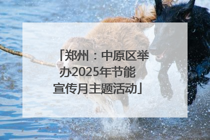 郑州：中原区举办2025年节能宣传月主题活动