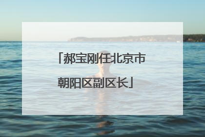 郝宝刚任北京市朝阳区副区长