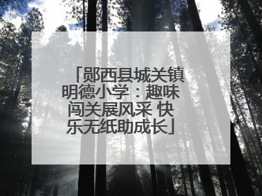 郧西县城关镇明德小学：趣味闯关展风采 快乐无纸助成长