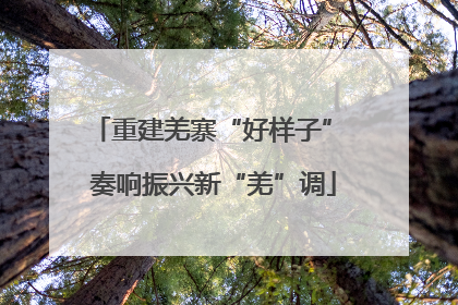 重建羌寨“好样子” 奏响振兴新“羌”调