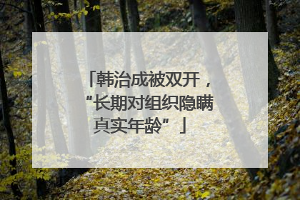 韩治成被双开，“长期对组织隐瞒真实年龄”