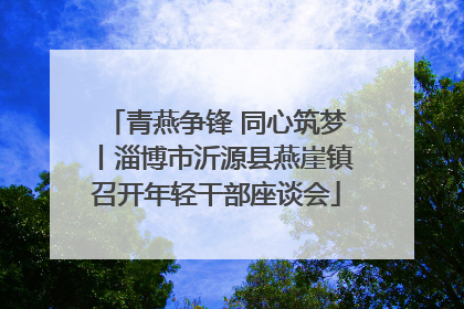 青燕争锋 同心筑梦丨淄博市沂源县燕崖镇召开年轻干部座谈会