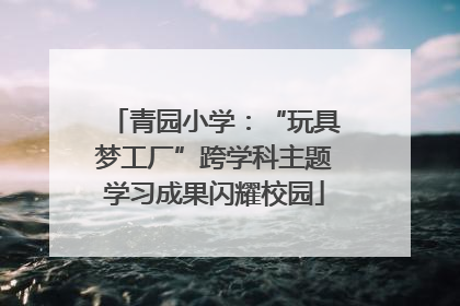 青园小学：“玩具梦工厂”跨学科主题学习成果闪耀校园