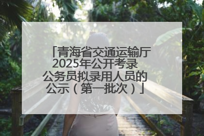 青海省交通运输厅2025年公开考录公务员拟录用人员的公示（第一批次）